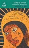 Anthony B. Pinn, Anthony B Pinn, Anthony B. Pinn - What Is African American Religion?