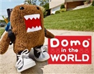 Iain Browne, Kate T. Williamson, Iain Browne, Iain Browne, Browne Iain - Domo in the World