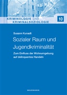 Susann Kunadt - Sozialer Raum und Jugendkriminalität