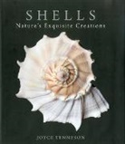 Joyce Tenneson, Tenneson Joyce, Joyce Tenneson - Shells