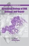 Michael Stone, Michael (EDT) Stone, Michael Stone - Structural Biology of DNA Damage and Repair