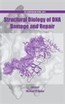 Michael Stone, Michael (EDT) Stone, Michael Stone, Stone Michael - Structural Biology of DNA Damage and Repair