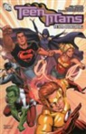 J. T. Krul, J. T./ Nicieza Krul, Fabian Nicieza, Various - Teen Titans