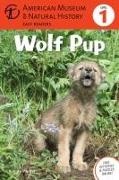 American Museum of Natural History, Wendy Pfeffer, Wendy/ American Museum of Natural History Pfeffer - Wolf Pup - (Level 1)