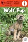 American Museum Of Natural History, Wendy Pfeffer, Wendy/ American Museum of Natural History Pfeffer - Wolf Pup