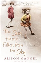 Alison Gangel - The Sun Hasn't Fallen From the Sky