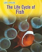Darlene R. Stille - The Life Cycle of Fish