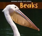 Rebecca Rissman - Beaks