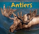 Rebecca Rissman - Antlers