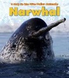 Katie Marsico - Narwhal