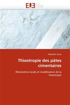 Sébastien Jarny, Jarny-S - Thixotropie des pates cimentaires
