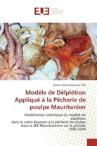Mohamed Tfeil-B, Brahim Ould Mohamed Tfeil - Modele de delpletion applique a
