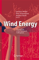 Stephan Barth, Joachim Peinke, Pete Schaumann, Peter Schaumann - Wind Energy