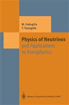 Masatak Fukugita, Masataka Fukugita, Tsutomu Yanagida - Physics of Neutrinos