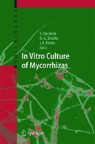 Stéphane Declerck, André Fortin, Désiré-George Strullu, Désiré-Georges Strullu - In Vitro Culture of Mycorrhizas