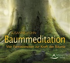 Susanne Hühn - Baummeditation, Audio-CD (Audiolibro)
