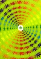 Chronicle Books - Livin the High Life Journal
