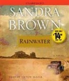 Sandra Brown, Sandra/ Slezak Brown, Victor Slezak - Rainwater