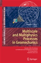 Ronaldo I Borja, Ronaldo I. Borja, Ronald I Borja, Ronaldo I Borja - Multiscale and Multiphysics Processes in Geomechanics
