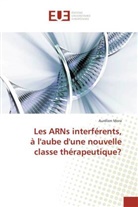 Aurélien Mora, Mora-a - Les arns interferents, a l aube d