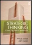 Julie Chesley, Chesley Julie, Irene M Duhaime, Irene M. Duhaime, Irene M. (Georgia State University Duhaime, Irene M. Simpert Duhaime... - Strategic Thinking