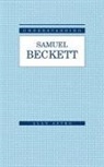 Alan Astro - Understanding Samuel Beckett