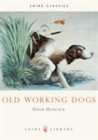 David Hancock - Old Working Dogs