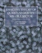 Joy Christian, Subodha Mishra - Effective Theory of Quantum Gravity