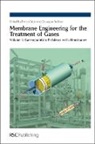 Enrico Drioli, Enrico (The Institute on Membrane Technolo Drioli, Enrico Barbieri Drioli, Prof. Enrico (The Institute on Membrane Te Drioli, Royal Society of Chemistry, Giuseppe Barbieri... - Membrane Engineering for the Treatment of Gases