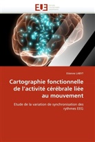 Etienne LABYT, Labyt-E - Cartographie fonctionnelle de l