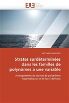 Hayssam Ezzaldine, Ezzaldine-H - Strates surdeterminees dans les
