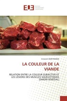 Innocent NIZEYIMANA, Nizeyimana-I - La couleur de la viande