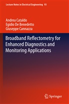 Giu Cannazza, Giuseppe Cannazza, Andre Cataldo, Andrea Cataldo, Egidi De Benedetto, Egidio De Benedetto - Broadband Reflectometry for Enhanced Diagnostics and Monitoring Applications