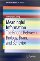 Anthony Reading - Meaningful Information