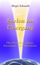 Birgit Schmidt - Seelen im Übergang