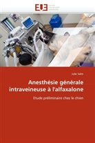 Julie Salm, Salm-J - Anesthesie generale intraveineuse
