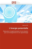 Salmone Faye, Faye-s - L energie potentielle