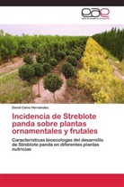 David Calvo Hernández - Incidencia de Streblote panda sobre plantas ornamentales y frutales