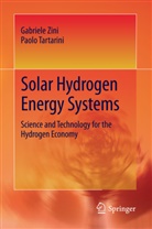 Paolo Tartarini, Gabriel Zini, Gabriele Zini - Solar Hydrogen Energy Systems