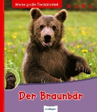 Valérie Tracqui, Anne Brauner - Meine erste Tier-Bibliothek: Der Braunbär