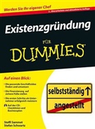 Samme, Stefani Sammet, Stefanie Sammet, Schwartz, Stefan Schwartz - Existenzgründung für Dummies, m. CD-ROM