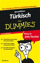 Elif Dilmaç - Sprachführer Türkisch für Dummies