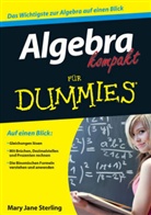 Eva Steffen, Mary J. Sterling, Mary Jane Sterling - Algebra kompakt für Dummies