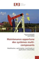 Djam Aissani, Djamil Aissani, Ala CHATEAUNEUF, Alaa Chateauneuf, Collectif, Radouan LAGGOUNE... - Maintenance opportune des