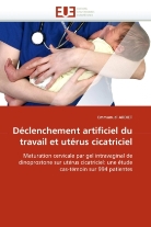 Emmanuel ARDIET, Ardiet-E - Declenchement artificiel du