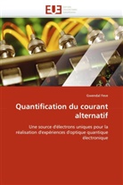 Gwendal Feve, Feve-g - Quantification du courant alternati