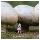 Margherita Dessanay, Mar Valli, Marc Valli, Marc A. Valli, Marc Wahli - Microworlds