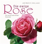 Anny Jacob, Josh Westrich, Josh Westrich, Josh Westrich - Die ewige Rose