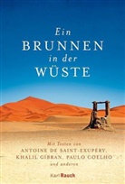 Antoine de Saint-Exupery, Johanne Thiele - Ein Brunnen in der Wüste
