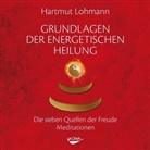 Hartmut Lohmann - Grundlagen der energetischen Heilung, 1 Audio-CD (Audio book)
